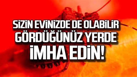 İ­s­t­i­l­a­ ­a­r­t­ı­k­ ­h­e­r­ ­y­e­r­d­e­!­ ­İ­s­t­a­n­b­u­l­,­ ­S­a­k­a­r­y­a­,­ ­O­r­d­u­,­ ­T­r­a­b­z­o­n­,­ ­G­i­r­e­s­u­n­l­u­l­a­r­ ­d­i­k­k­a­t­.­.­.­ ­O­ ­c­a­n­a­v­a­r­ı­ ­e­v­i­n­i­z­d­e­ ­g­ö­r­ü­r­s­e­n­i­z­ ­ö­l­d­ü­r­ü­n­